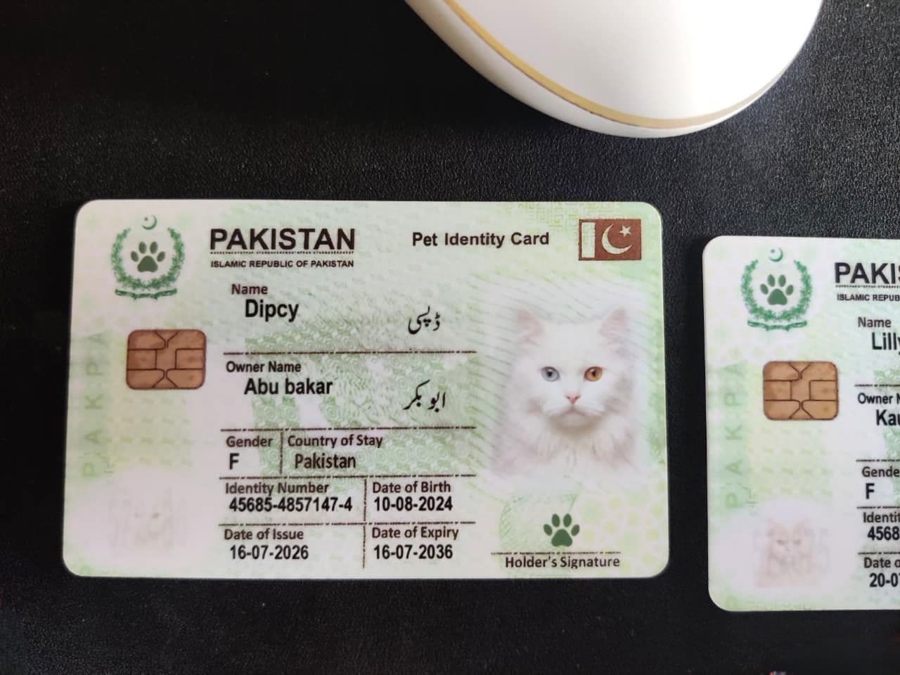 PetNIC pet identity card — preview 1